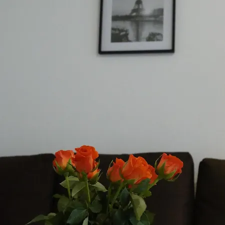 Charming And Spacious - Close To Center Appartamento *